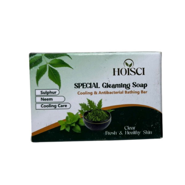 HOISCI Special Gleaming Soap (Cooling & Antibacterial Bar)